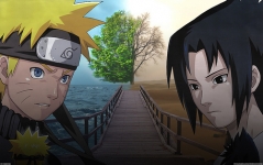 naruto vs sasuke